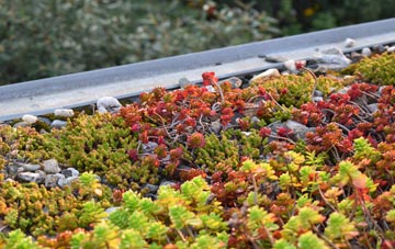 the cost of Cavenham green roof installation