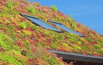 Cavenham living roof systems
